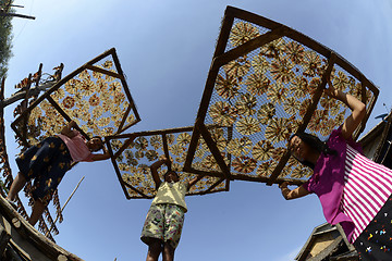 Image showing ASIA MYANMAR MYEIK DRY FISH PRODUCTION