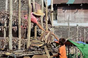 Image showing ASIA MYANMAR MYEIK DRY FISH PRODUCTION