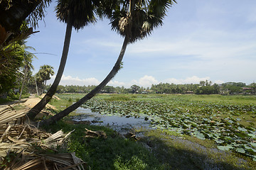 Image showing ASIA MYANMAR MYEIK CITY