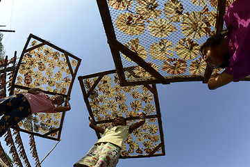 Image showing ASIA MYANMAR MYEIK DRY FISH PRODUCTION