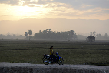 Image showing ASIA MYANMAR MYEIK AGRACULTURE