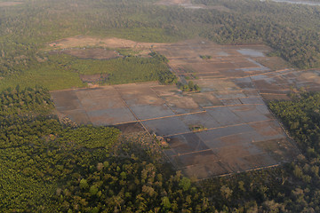 Image showing ASIA MYANMAR MYEIK LANDSCAPE 