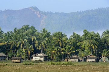 Image showing ASIA MYANMAR MYEIK AGRACULTURE PEOPLE