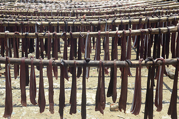 Image showing ASIA MYANMAR MYEIK DRY FISH PRODUCTION