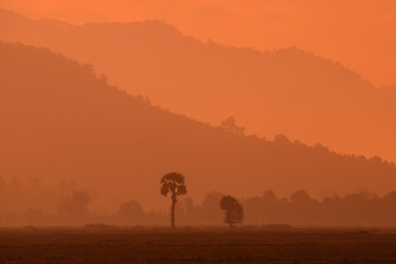 Image showing ASIA MYANMAR MYEIK LANDSCAPE