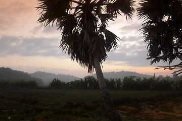 Image showing ASIA MYANMAR MYEIK LANDSCAPE