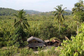 Image showing ASIA MYANMAR MYEIK AGRACULTURE PEOPLE