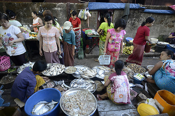 Image showing ASIA MYANMAR MYEIK MARKET