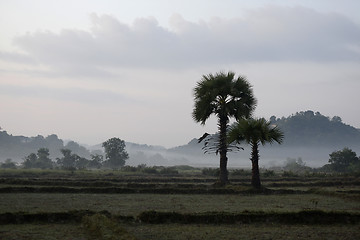 Image showing ASIA MYANMAR MYEIK LANDSCAPE