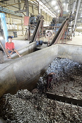 Image showing ASIA MYANMAR MYEIK FISHMEAL PRODUCTION