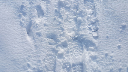 Image showing Footsteps on the snow