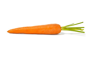 Image showing Carrot