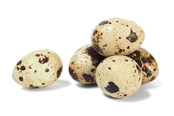 Image showing Quail eggs