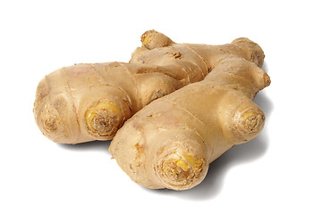 Image showing Ginger root