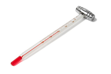 Image showing Wine thermometer