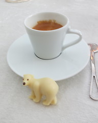 Image showing Ice-bear of white chocolate