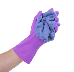 Image showing Hand in rubber glove, ready for cleaning