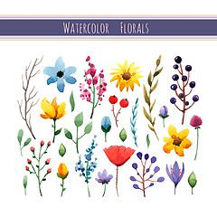 Image showing Watercolor floral collection with leaves and flowers. 