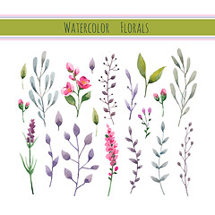 Image showing Watercolor floral collection 