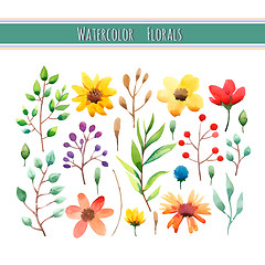 Image showing Watercolor floral collection with leaves and flowers. 