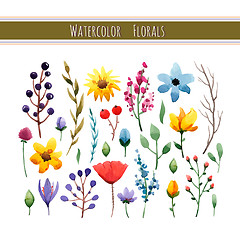 Image showing Watercolor floral collection 