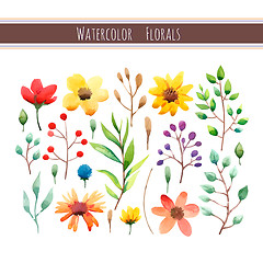 Image showing Watercolor floral collection 