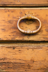 Image showing  varese   brass brown knocker in a   closed wood door venegono i