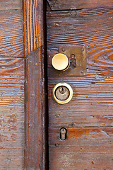 Image showing  brass brown knocker   wood  door vinago  varese italy