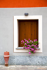 Image showing  cavaria    wood venetian blind in the concrete orange 