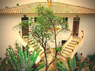 Image showing landscape with agave on a background of the house