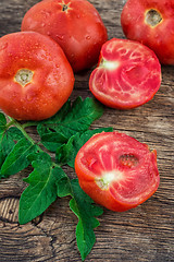 Image showing tomato harvest