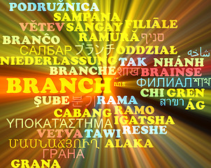 Image showing Branch multilanguage wordcloud background concept glowing