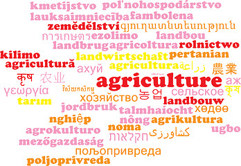 Image showing Agriculture multilanguage wordcloud background concept