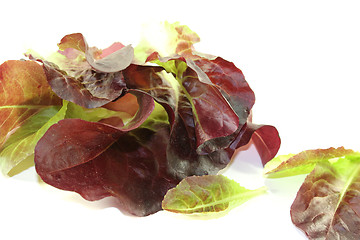 Image showing crunchy red lettuce