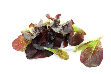 Image showing fresh crunchy red lettuce