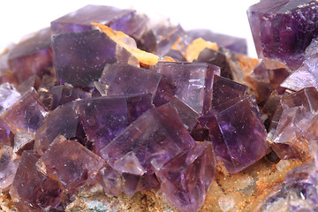 Image showing violet fluorite cubes