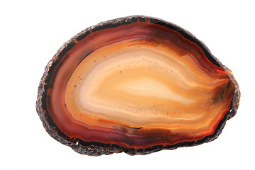 Image showing brown agate isolated