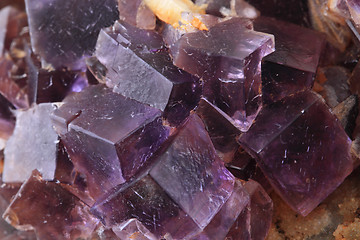 Image showing violet fluorite cubes