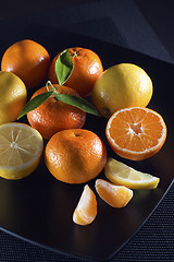 Image showing Citrus fruits