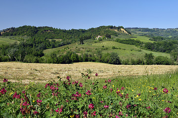 Image showing Spring landscape. Tuscany, Italy