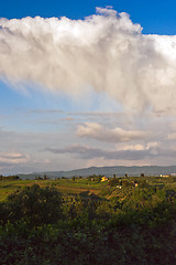 Image showing Spring landscape. Tuscany, Italy