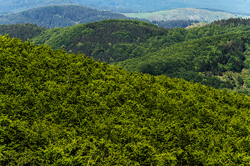 Image showing Hilly landscape. Tuscany, Italy