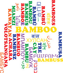 Image showing Bamboo multilanguage wordcloud background concept