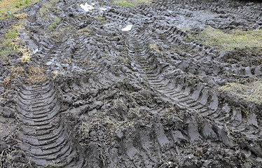 Image showing Mud