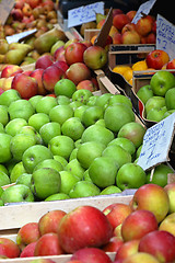 Image showing Apples