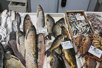 Image showing Fish market