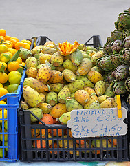 Image showing Indian fig fruit