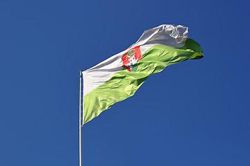 Image showing Ljubljana flag