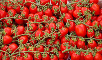 Image showing Cherry tomato