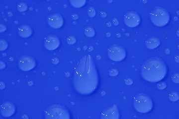 Image showing Water Drops